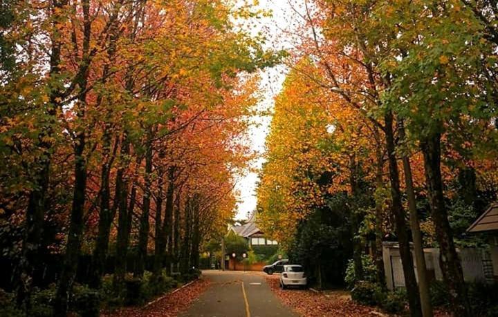 Apartamento Família Sirangelo Gramado Bagian luar foto