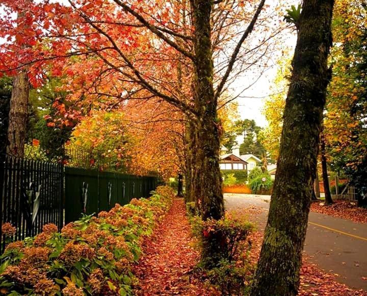 Apartamento Família Sirangelo Gramado Bagian luar foto