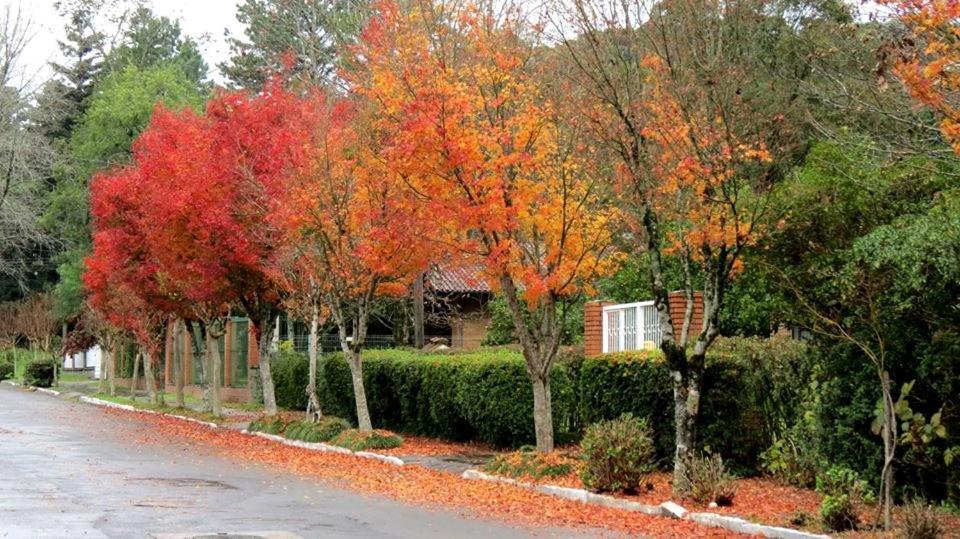 Apartamento Família Sirangelo Gramado Bagian luar foto