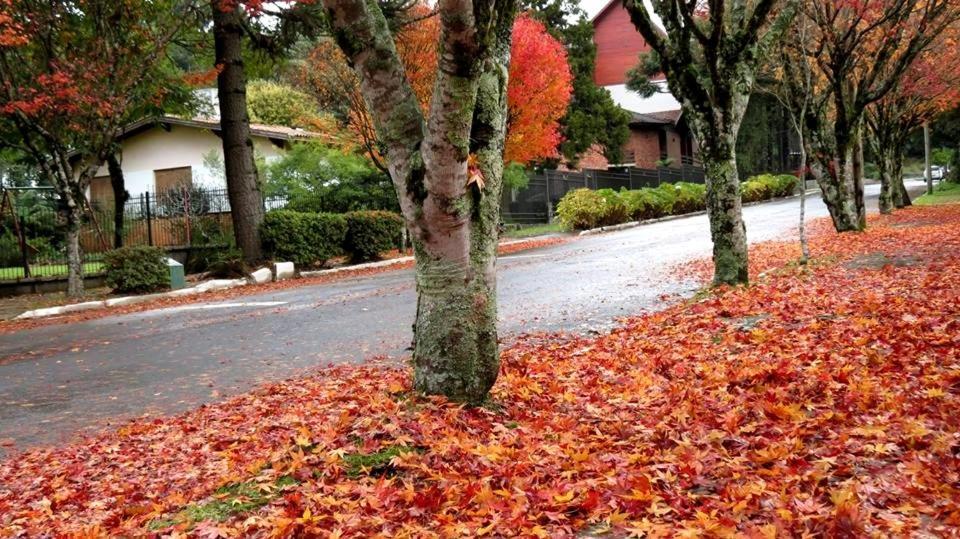 Apartamento Família Sirangelo Gramado Bagian luar foto