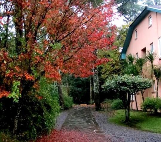 Apartamento Família Sirangelo Gramado Bagian luar foto